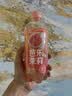 茶小开轻汽湃芭乐茉莉气泡康普茶500ml*15瓶整箱 气泡水芭乐汁果汁饮料 实拍图