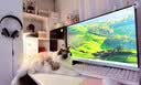 微星（MSI）白刃X32 MAG 274QRFW X32 27英寸2K320Hz HDR400 0.5msGTG 2K240Hz 快速IPS 白色游戏电竞显示器 实拍图