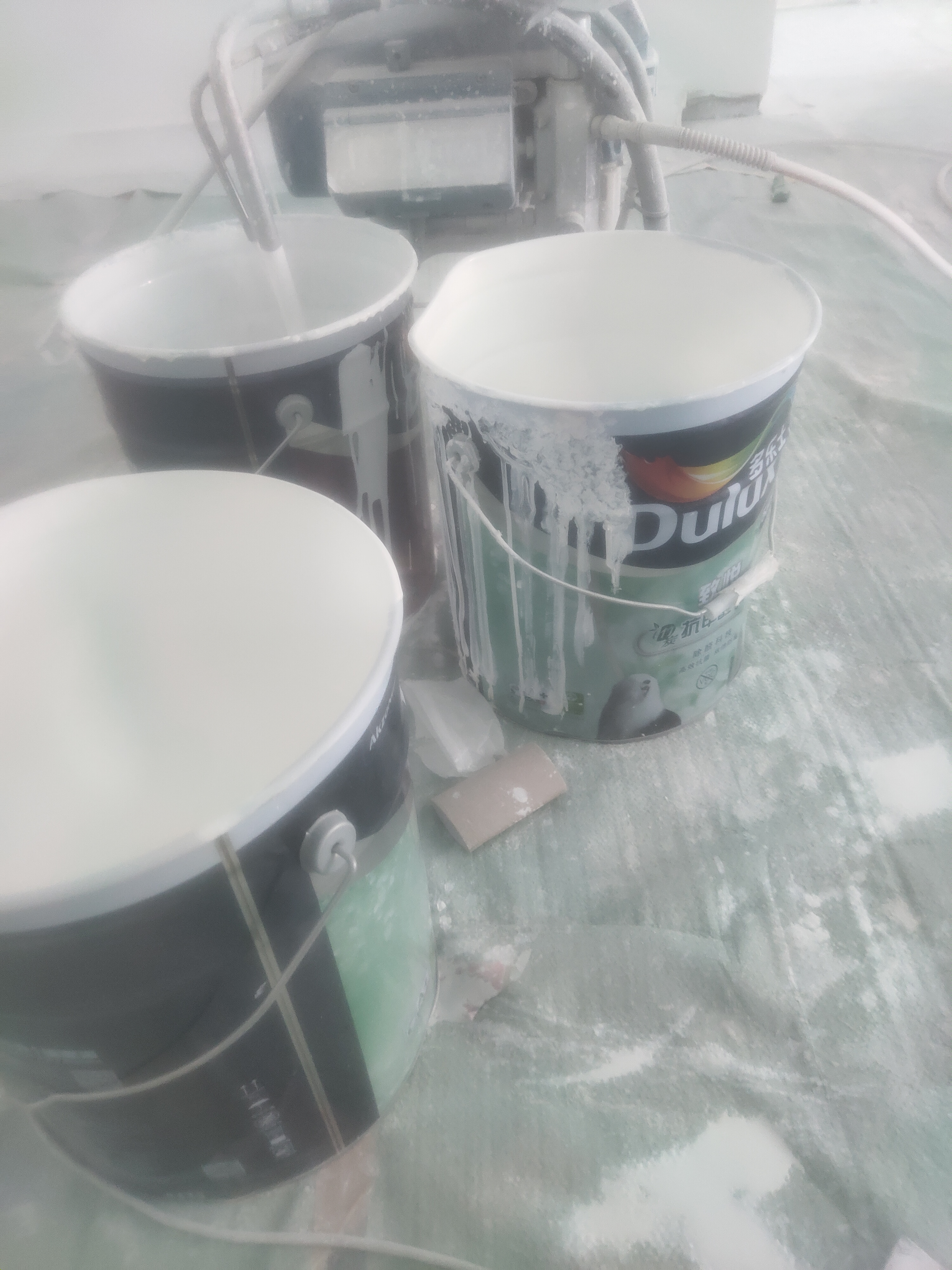 多乐士（Dulux）乳胶漆致悦竹炭抗甲醛五合一净味防霉抗菌油漆涂料A8146白色18L 实拍图