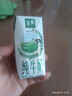 伊利【新鲜日期】金典纯牛奶整箱 200ml*24盒 3.6g乳蛋白 礼盒装 6月 实拍图