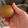 佳沛（zespri）新西兰  阳光金奇异果6粒装 单果约88-103g 猕猴桃水果 实拍图