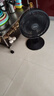美的（Midea）台式电风扇七叶柔风轻音卧室宿舍广角远距交流定频台扇办公室桌面节能省电摇头小型电扇 FGAU30D 实拍图