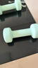 Keep哑铃女士健身家用彩色浸塑环保手铃亚铃全身塑形浅绿1.5kg*2 实拍图