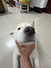 麦富迪狗粮 barf霸弗天然狗粮奶糕幼犬粮冻干粮小型犬粮养护肠胃鸡肉2kg 实拍图