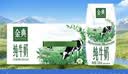 伊利【新鲜日期】金典纯牛奶整箱 200ml*24 3.6g乳蛋白 礼盒装 6月 实拍图