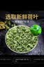 贡苑特级荷叶茶【大份量510g】纯荷叶泡水喝花草茶搭配大油切肥肚子茶 实拍图