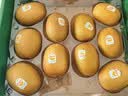 佳沛（zespri）新西兰阳光金奇异果10粒巨大果单果146-175g 猕猴桃水果礼盒 实拍图