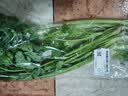 带根香菜100g 实拍图