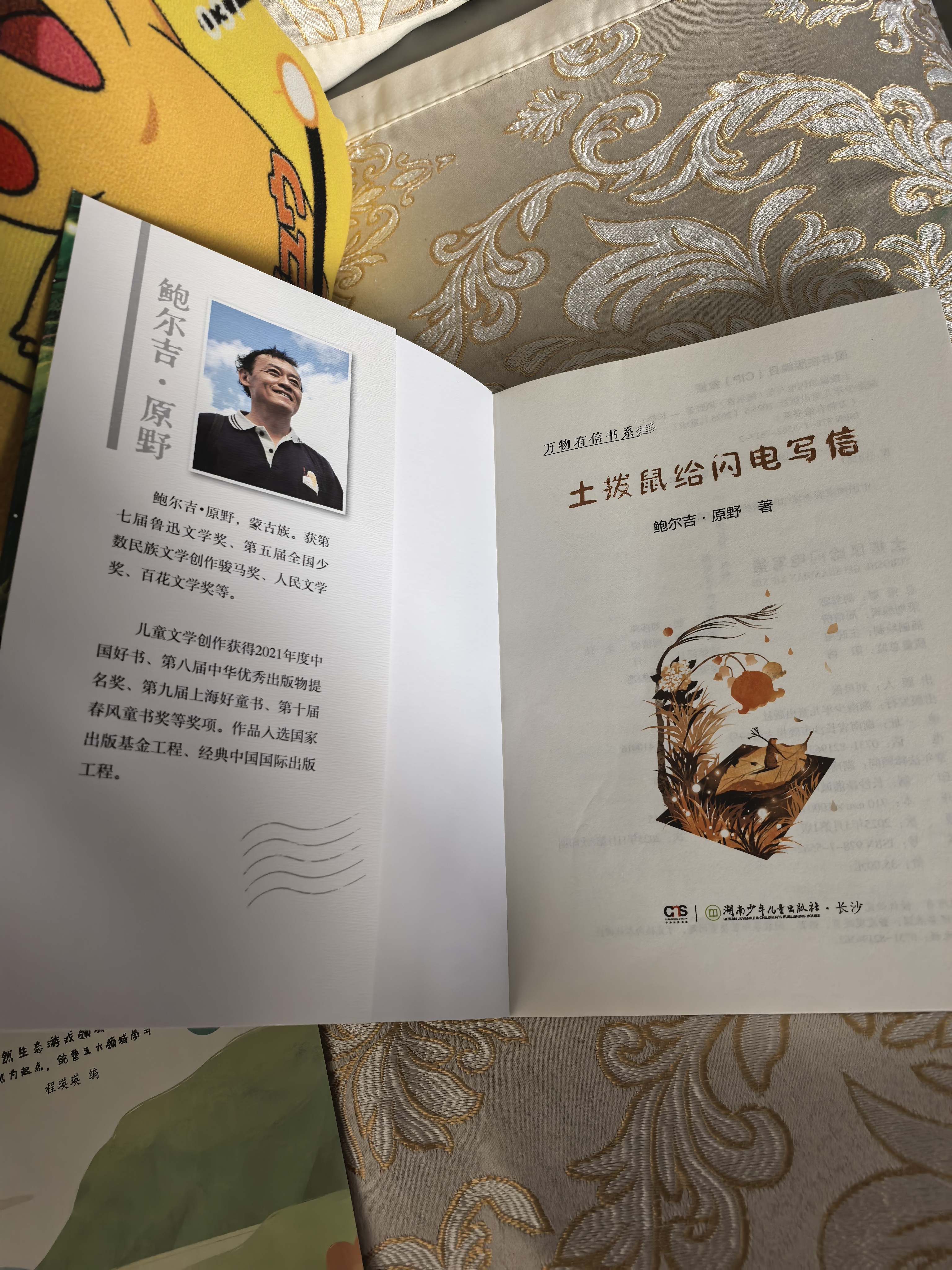 万物有信书系（全3册）土拨鼠给闪电写信 喜鹊给麦穗鱼写信 沙粒给云雀写信 鲍尔吉·原野 原创书信体散文  入选2025中国好书 三四五六年级 课外阅读 实拍图