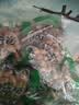 有友 泡花生 独立小包装 休闲零食追剧小吃零食 山椒味428g 实拍图