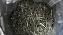 乐品乐茶毛尖茶叶特级明前春茶嫩芽2026新茶礼盒装250g冷泡茶绿茶自己喝 实拍图