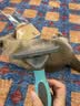 亚禾狗狗打薄子梳祛浮毛换毛季底绒梳柴犬柯基宠物毛刷子厚毛短毛专用 实拍图