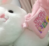 爱尚熊兔子玩偶毛绒玩具女孩布娃娃送女学生日礼物女友儿童睡觉抱枕公仔 实拍图