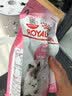 皇家幼猫奶糕猫粮 离乳期孕猫BK34通用粮 1-4月增强免疫亲肠胃助消化 【1-4月与孕期】BK34猫奶糕 400g*1袋 实拍图