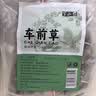 半山农 车前草50包【量足】精选正宗中药材 车轮菜牛舌草茶包养生茶泡水 实拍图