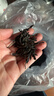 七春凤凰单枞茶叶鸭屎香蜜兰香清香浓香型组合500g2026新茶叶自己喝 实拍图