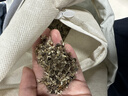 俞兆林艾草枕头护颈椎助睡眠荞麦枕芯深度睡眠家用花草枕高度可调硬枕 实拍图
