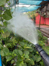 慧多多洗车机洗车高压水枪泵家用220v喷水冲洗强力洗地清洗机新款大功率 实拍图