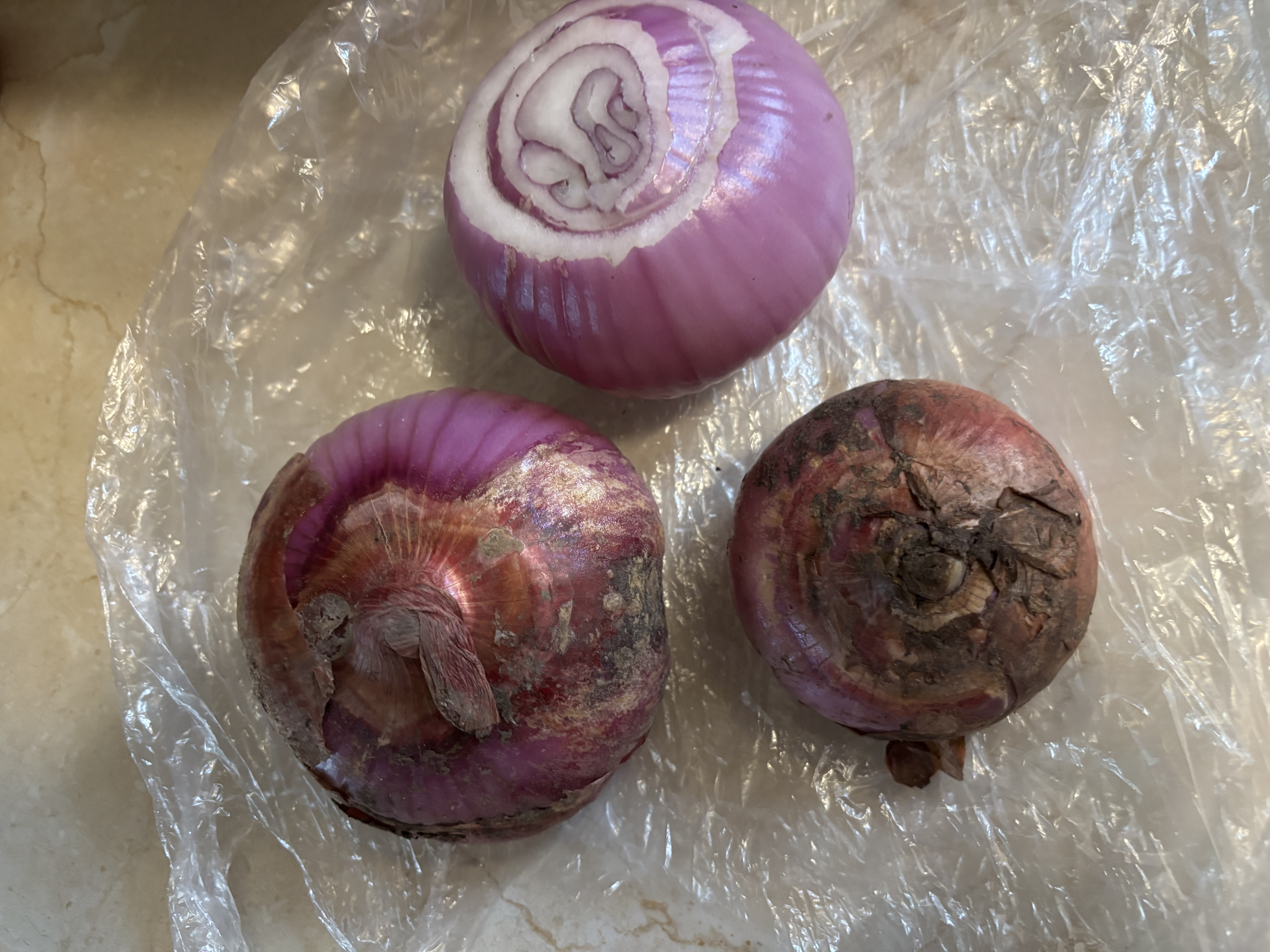 山东特产水果扁洋葱甜瓜口感红皮扁葱头生吃脆甜蘸酱好吃粉嫩 精选大果带箱2斤净重1.5斤 实拍图