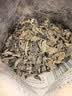 十月稻田东北秋木耳 500g 黑木耳 干木耳 肉厚无根 火锅煲汤食材 实拍图