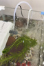 森森 小鲤鱼缸过滤器净水循环三合一内置水族箱过滤系统XQP-500F 6W 实拍图