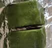 鲜京采抹茶巧克力脆皮泥巴派（8枚装）310g蛋糕面包办公室零食 实拍图