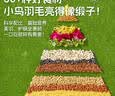 乖卷鹦鹉饲料 虎皮玄风鸟食谷子画眉牡丹文鸟中小型鹦鹉混合粮2KG 实拍图
