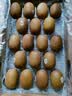 佳沛（zespri）新西兰 阳光金果18粒超大果原箱单果175-204g 猕猴桃水果礼盒 实拍图