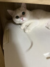 城市理享樱花白茶豆腐木薯混合猫砂2.5kg除臭颗粒吸味结团快不粘底低尘 实拍图