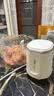 小熊（Bear）绞肉机家用小型 绞馅机 搅肉机 打蒜机电动 碎肉机 辅食机 2026新款家用QSJ-E03C8 实拍图