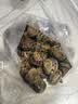 京鲜生广西荔浦马蹄 2.4斤装  广西特产 精美礼盒 脆甜可口 新鲜荸荠 实拍图