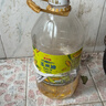 金龙鱼 食用油 非转基因 物理压榨不油腻轻年玉米油4L 实拍图