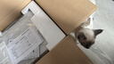 爱普生（EPSON）【6代新品】L1358 墨仓式A4彩色无线单功能家用打印机 家用/办公 AI学习打印机（微信/远程打印） 实拍图