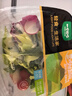 一号农场即食16种蔬菜冰爽薄荷冰草组合沙拉碗150g*3芝麻汁轻食源头直发 实拍图