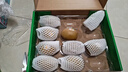 佳沛（zespri）新西兰 阳光金奇异果12粒特大果单果124-146g 猕猴桃水果礼盒 实拍图