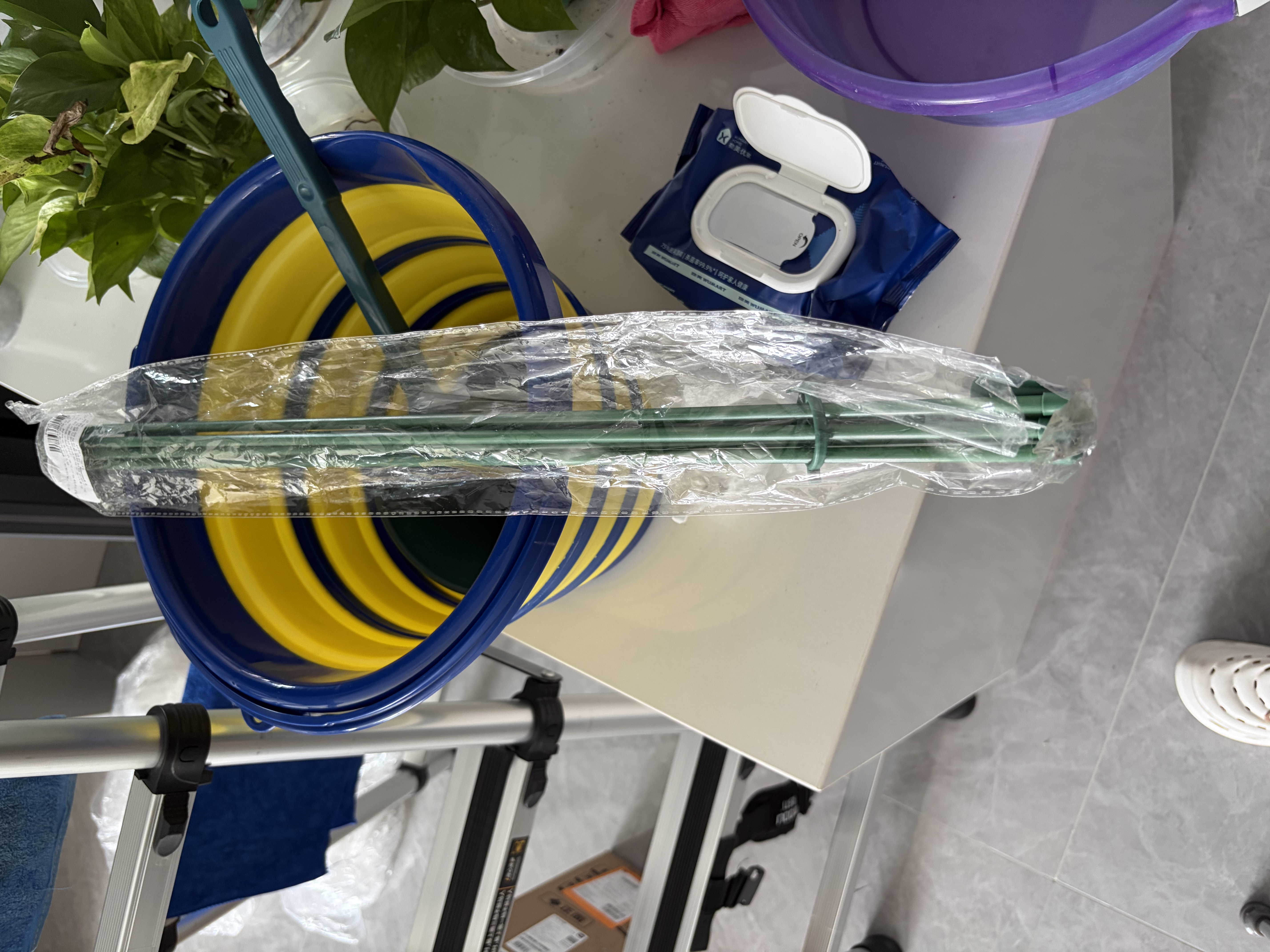 芷郁植物支撑杆花架防倒伏支架园艺吊兰月季架子绿植爬藤架 60cm5支 实拍图
