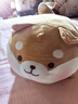 名创优品（MINISO）趣味阿柴弹力超柔趴姿公仔毛绒玩偶儿童玩具抱枕靠枕生日礼物女 实拍图