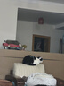 网易严选猫湿粮零食浓汤大口肉罐头鸡肉+三文鱼 85g*24罐 实拍图