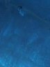 董记广联（DONGJIGUANGLIAN） 3.3米加大玻璃钢纤维渔船 5人皮划艇钓鱼船 养殖船环卫保洁小船 广联3.3米单船 3.3米船 晒单实拍图