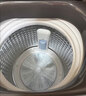 小天鹅（LittleSwan）波轮洗衣机小型全自动家用 10KG TB10V28T 一级能效 除菌螨 以旧换新 京东自营 出租房宿舍 实拍图