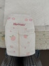 好奇（Huggies）铂金装小桃裤纸尿裤S96片(4-8kg)新生儿小号尿不湿【夏季散热王】 实拍图