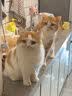 里森博士宠物除臭味香薰氛空气清新剂去狗猫咪房间室内生物酶尿臭分解净化 实拍图
