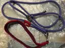 petlimit宠物p链p绳狗狗牵引绳遛狗绳子小中大型训犬防爆冲随行牵引1.5米  实拍图