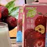 蒙牛真果粒牛奶饮品东魁杨梅味含乳饮料250g×12盒 卡皮巴拉定制装 实拍图