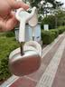 Apple/苹果 AirPods Max 2 星光色（2026款）搭载H2芯片 头戴式 无线蓝牙耳机 支持主动降噪 实拍图