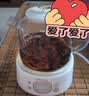 小熊（Bear）全玻璃养生壶 纯玻璃多功能恒温母婴烧水壶煮水壶 办公室轻音炖煮茶壶 1L YSH-J10D1 实拍图