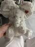 babycare躲猫猫安抚玩偶抗菌婴儿毛绒玩具新生儿见面礼物小象丘丘礼盒装 实拍图