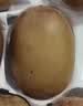 佳沛（zespri）新西兰阳光金奇异果巨大果22粒原箱单果146-175g 猕猴桃水果礼盒 实拍图