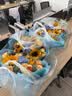 艾斯维娜教师节鲜花速递向日葵混搭花束生日礼物全国同城配送 向日葵蓝绣球混搭花束 实拍图