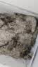 颐晟泰 虾 青岛大虾鲜活海捕虾类 基围虾生鲜青虾白虾海虾海鲜水产 盐冻 12-13cm 1.65kg(净重) 实拍图